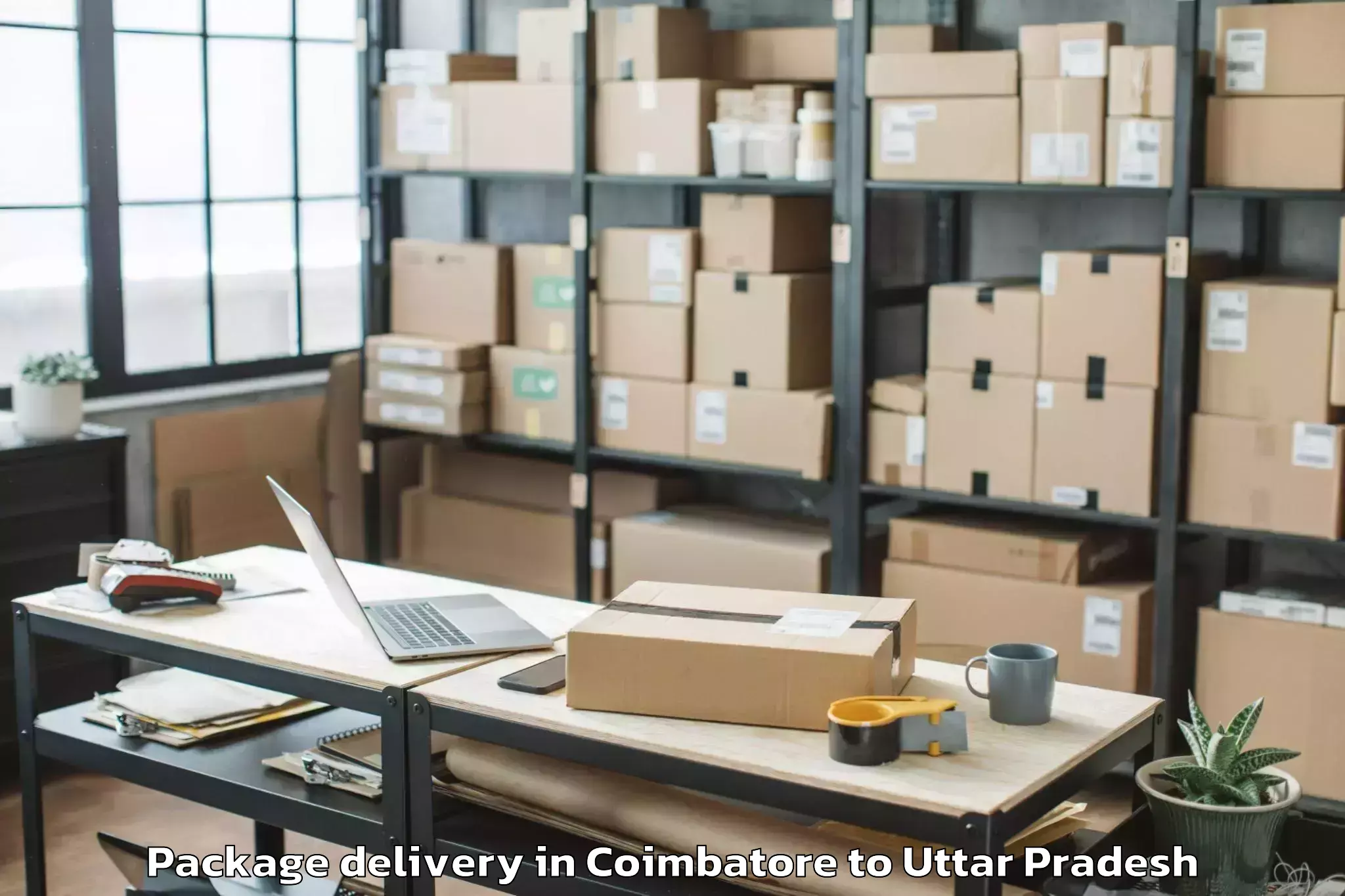 Reliable Coimbatore to Bikapur Package Delivery